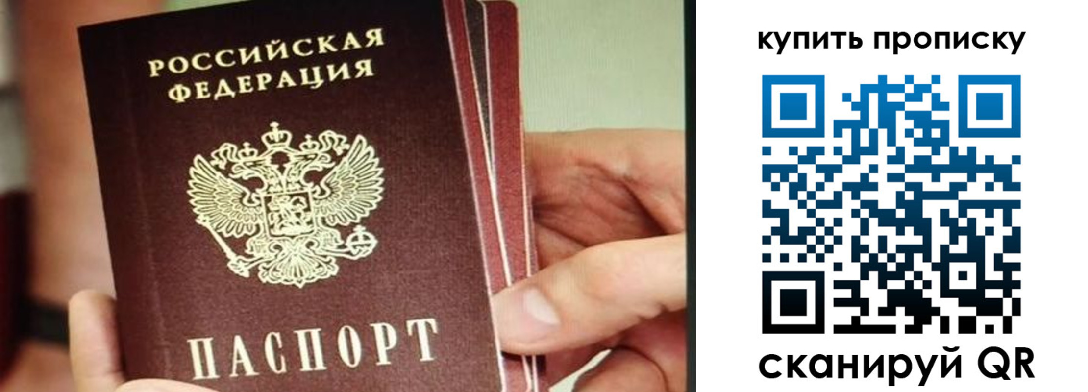 временная регистрация для всех в Благодарном
